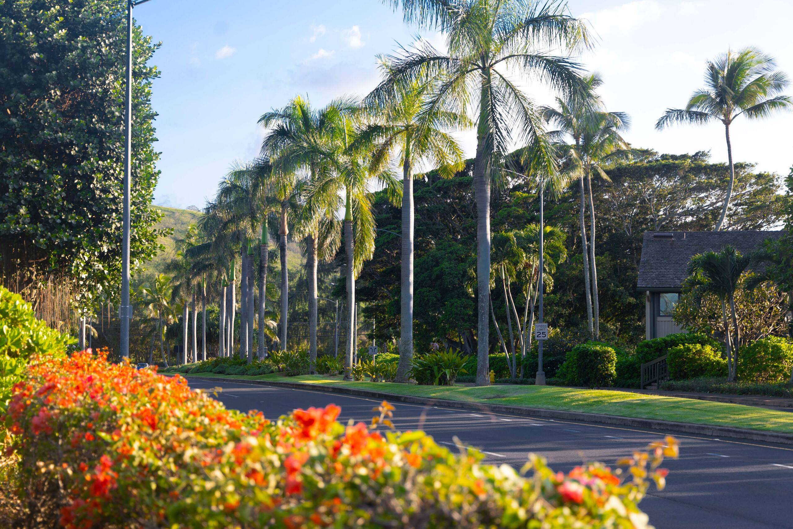 Condo in Kahuku · ★4.92 · 1 bedroom · 2 beds · 1 private bath - Image 81