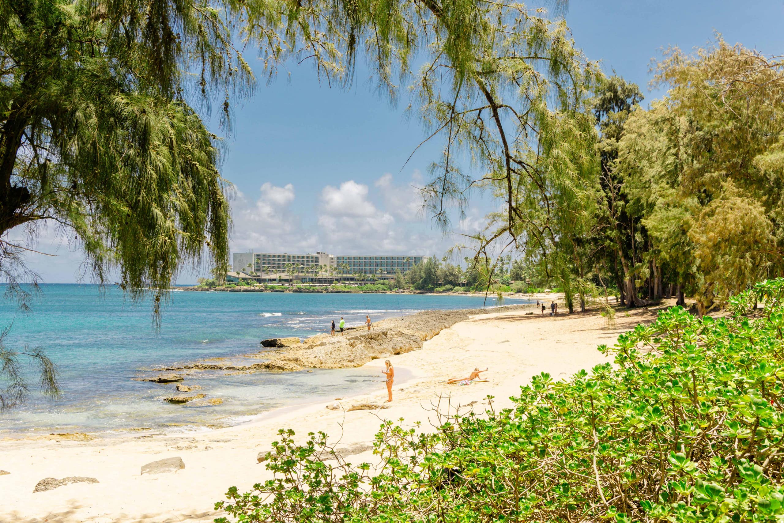 Condo in Kahuku · ★4.92 · 1 bedroom · 2 beds · 1 private bath - Image 71