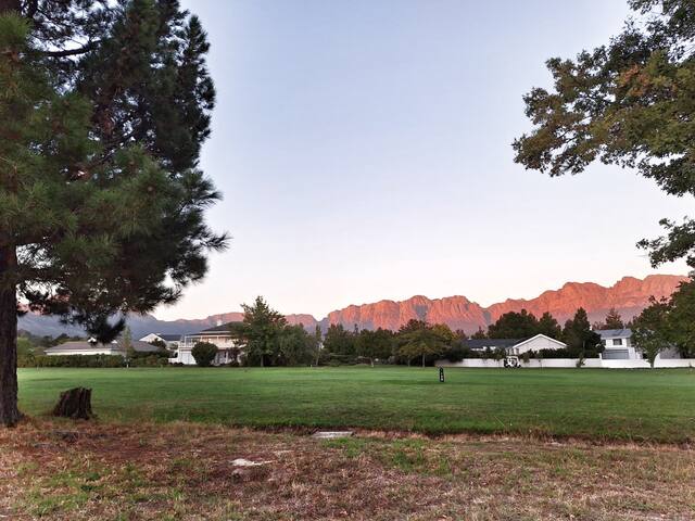 Morning View gallery image 4