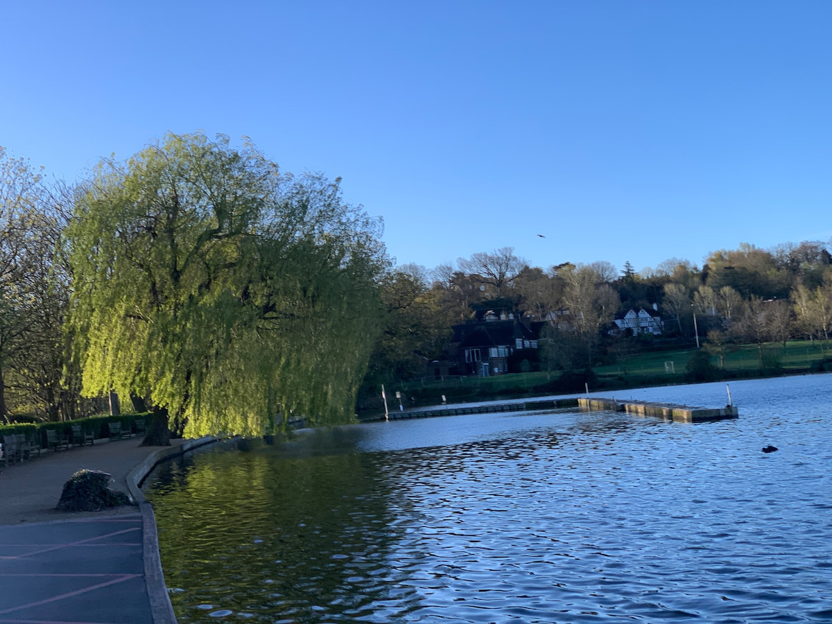 A serene lake scene is depicted, with a large willow tree on the left side. The water reflects the tree and surrounding landscape. In the background, several houses are visible among the greenery, while a clear blue sky completes the tranquil atmosphere.