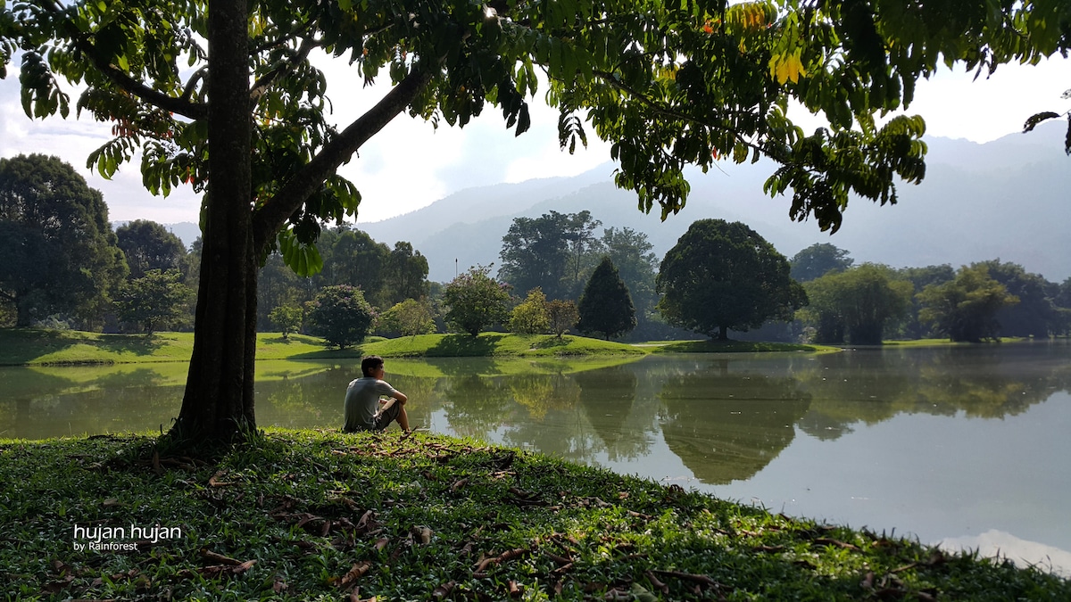 A serene lakeside scene is depicted, featuring lush greenery and calm waters reflecting the surrounding trees. A person is seated by the water's edge, enjoying the tranquility amidst the natural beauty of the area, with mountains visible in the background.
