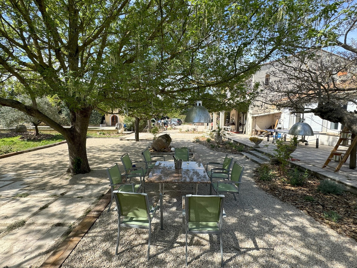 A spacious outdoor dining area features a large table surrounded by ten green chairs, shaded by a leafy tree. The surrounding garden provides a serene atmosphere with gravel paths and well-maintained greenery, creating an inviting space for gatherings.
