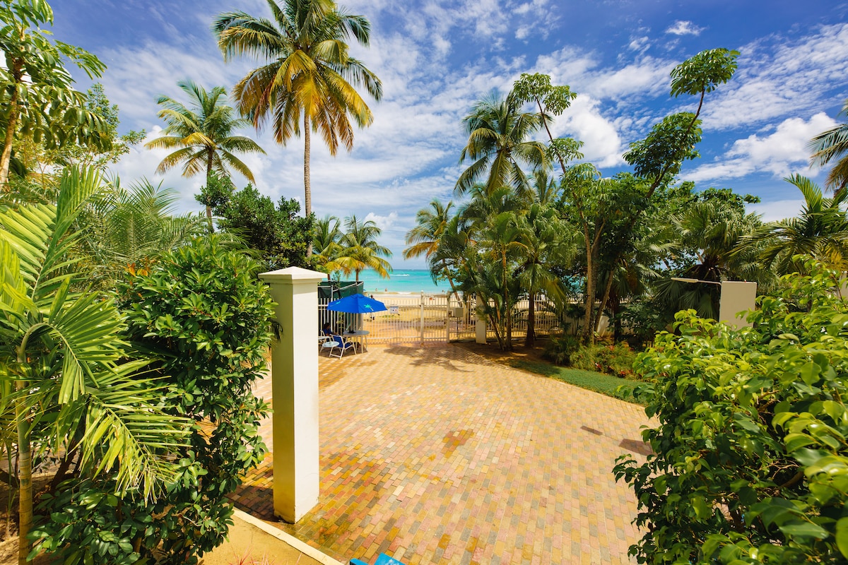 A view from the property features lush palm trees framing a pathway leading to the beach. Bright blue umbrellas can be seen in the distance, along with clear turquoise waters and a partly cloudy sky overhead.