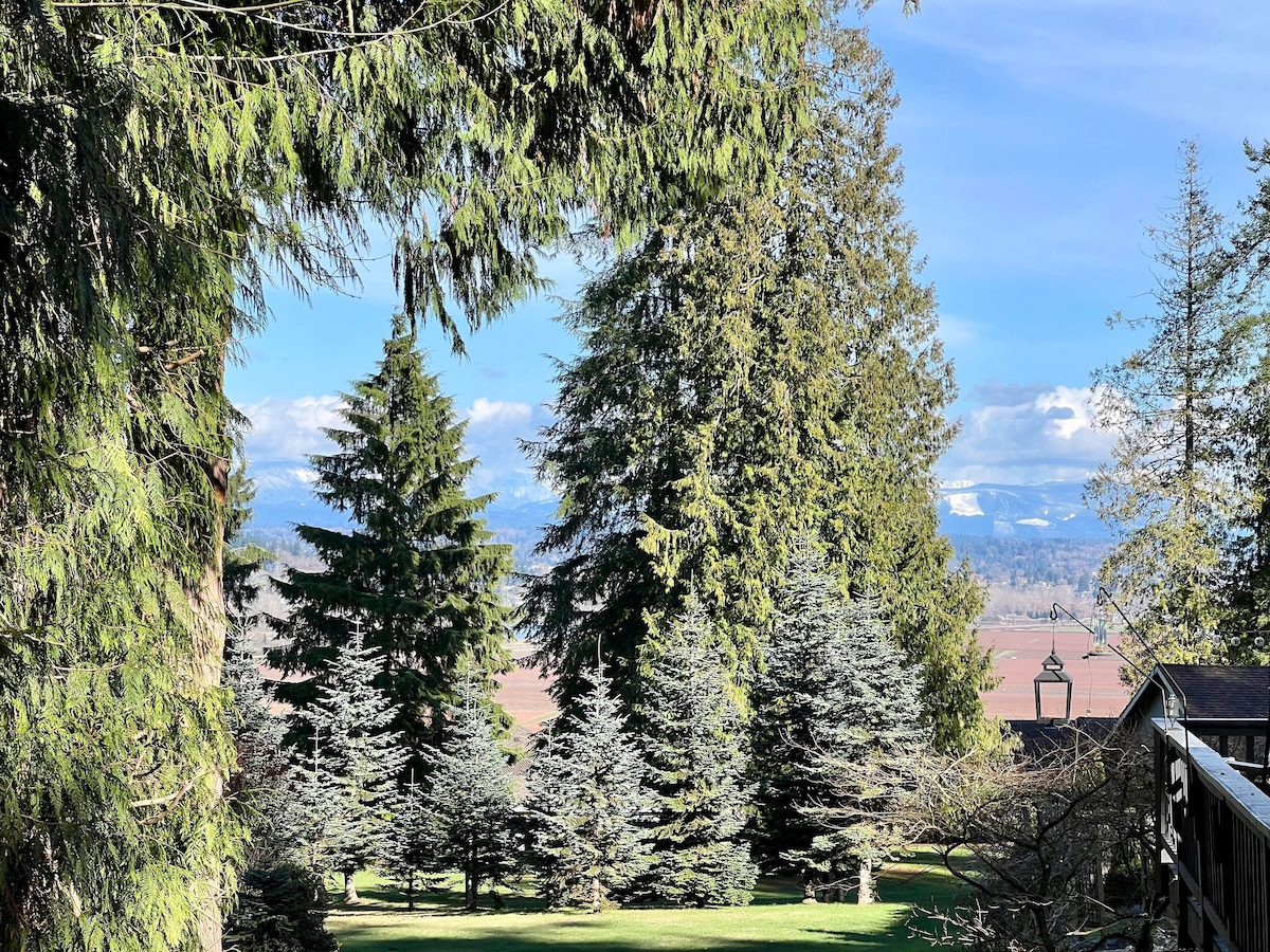 The view reveals a lush expanse of greenery with towering pine and evergreen trees framed by a bright blue sky. In the distance, the Cascade Mountains are visible, their peaks lightly dusted with snow, adding a serene backdrop to the tranquil setting.