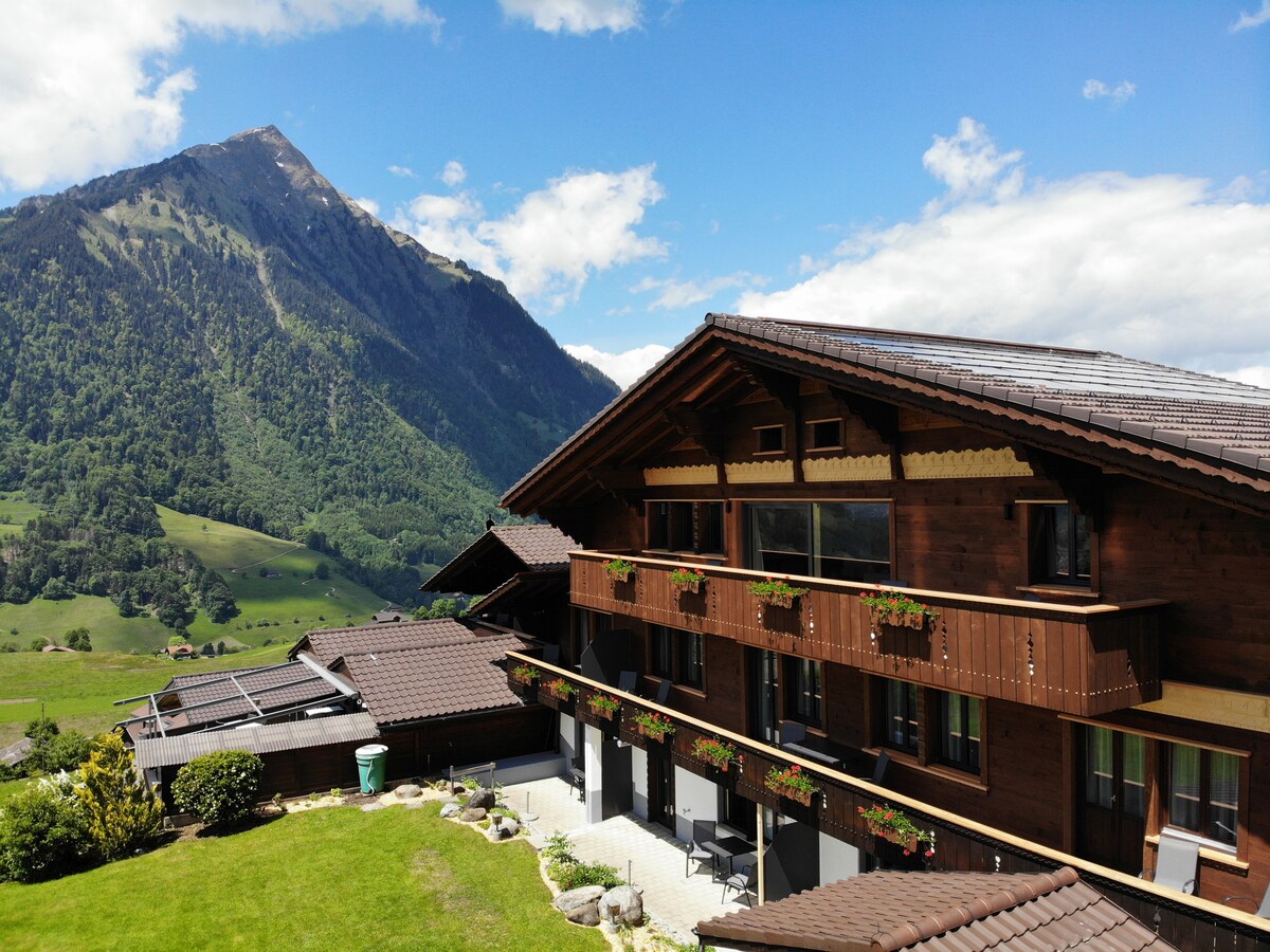 The exterior view of the Bergblick Lodge displays a rustic chalet-style building with wooden balconies adorned with flowers. Lush green mountains form the backdrop, under a blue sky with scattered clouds, creating a serene atmosphere. A well-maintained lawn enhances the inviting appearance of the lodge.