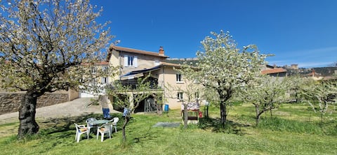 La Planquette, furnished 3* Millau 10/12 p  FR8Z5T8H
