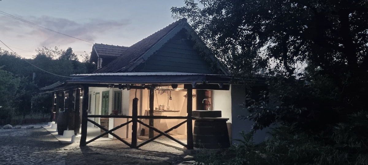 The rustic house is set amidst greenery, with a warm glow emanating from the interior. The structure features wooden accents, a covered porch, and outdoor lighting that highlights the inviting atmosphere. A gravel path leads to the entrance, surrounded by trees.