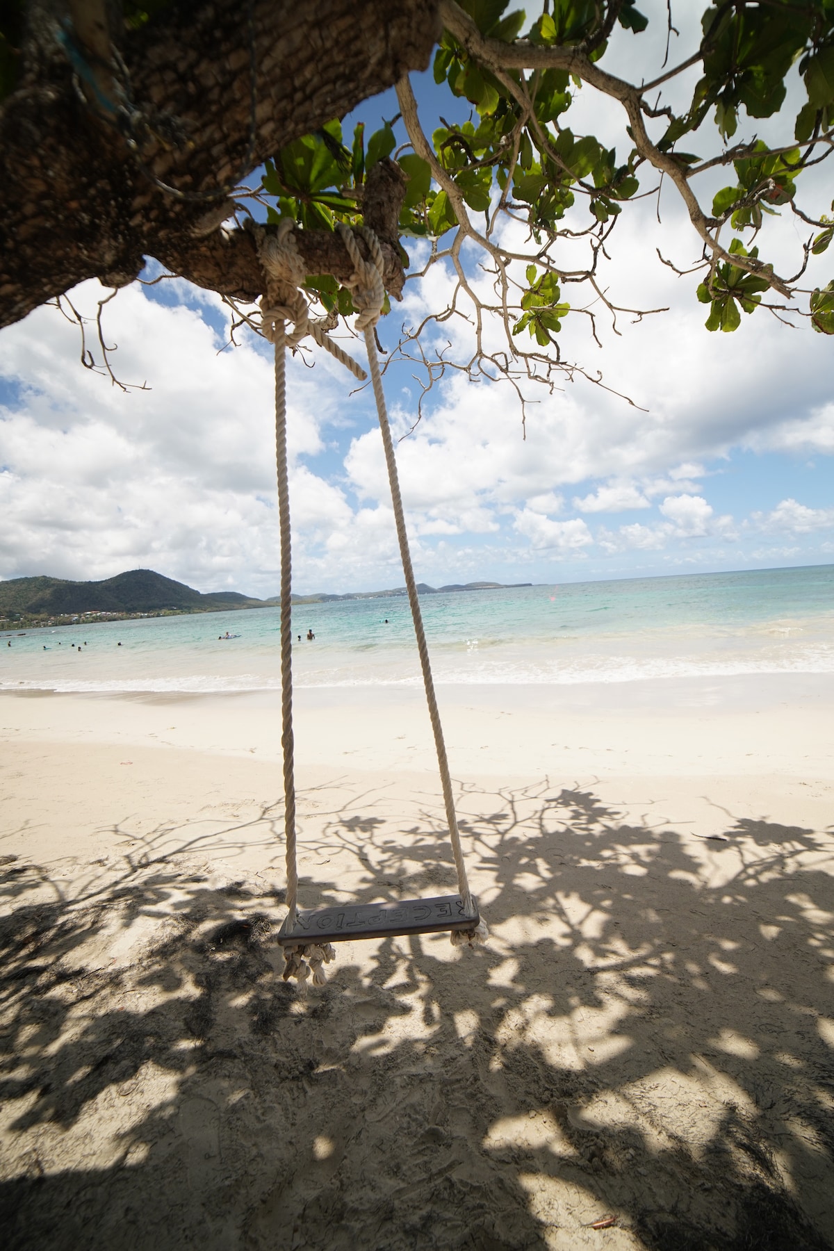 A swing hangs from a tree branch overlooking a sandy beach, with gentle waves lapping at the shore. Sunlight filters through the leaves, creating dappled shadows on the ground. In the distance, people can be seen enjoying the water under a partly cloudy sky.