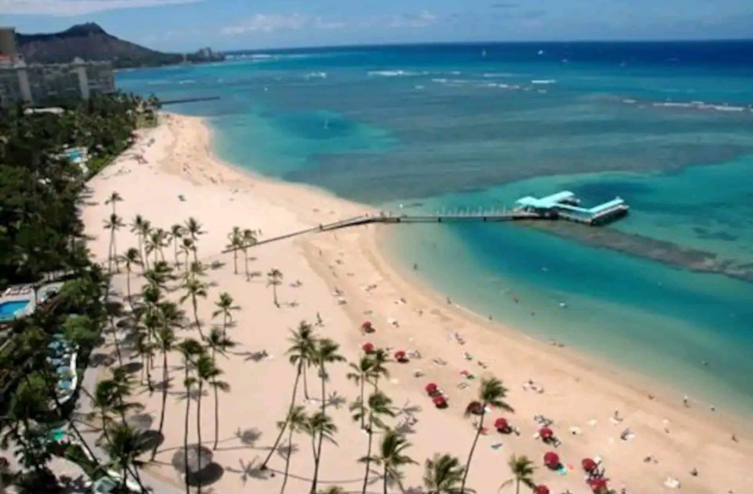 Condo in Honolulu · ★4.93 · Studio · 1 bed · 1 private bath - Image 26