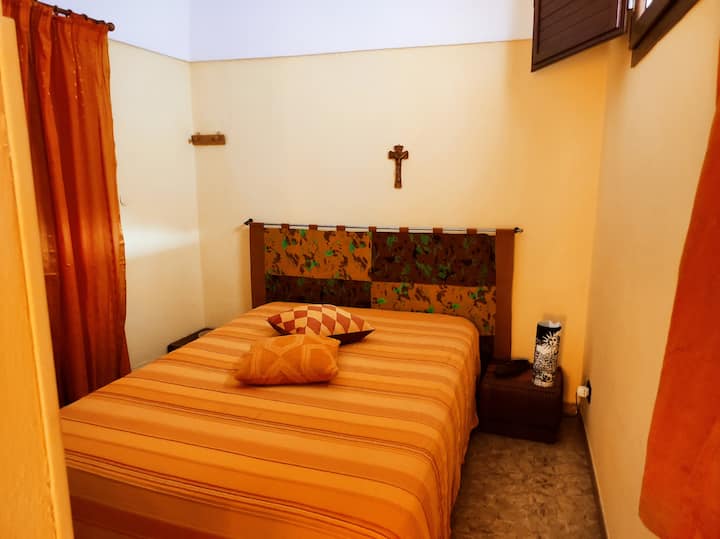 Edera Treottozerotreunoquattrosettedueottotre - Pantelleria