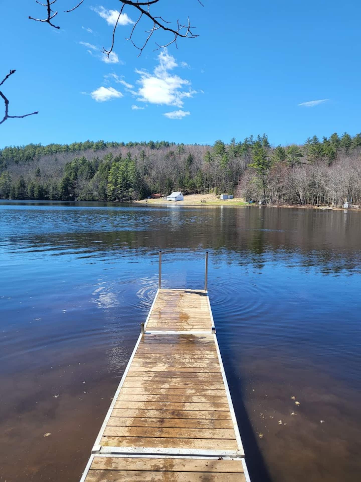 Maine Waterfront Cabin on Little Wilson Pond view 3