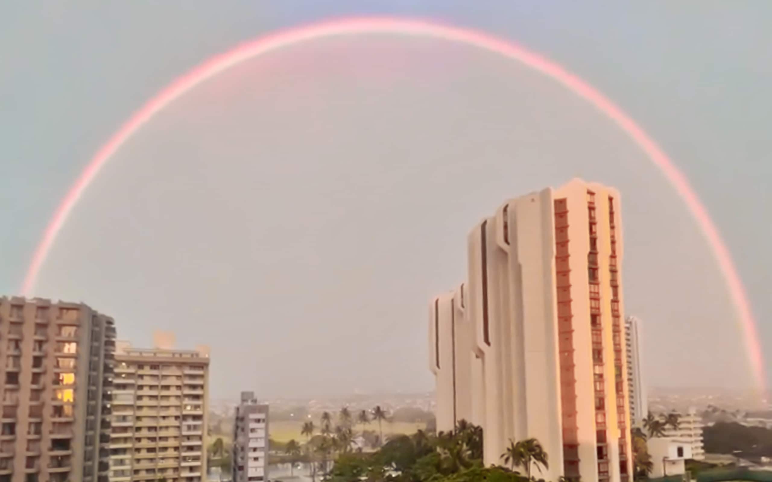 Condo in Honolulu · ★4.97 · 1 bedroom · 1 bed · 1 private bath - Image 21