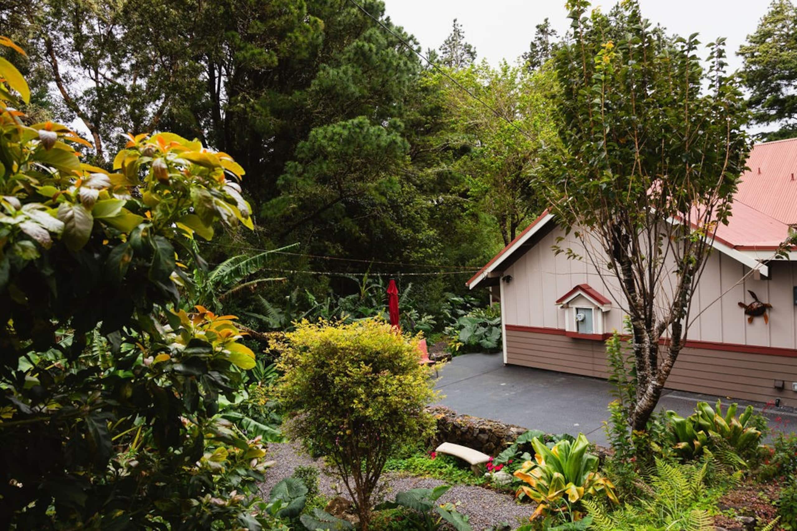 Guesthouse in Waimea · ★4.93 · 1 bedroom · 2 beds · 1 private bath - Image 21