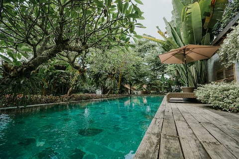 Suite room 2 at Semadi Living