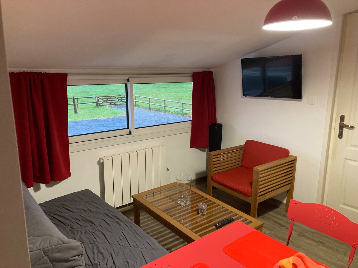 Top Airbnb: Clenay's apartment in Cholet