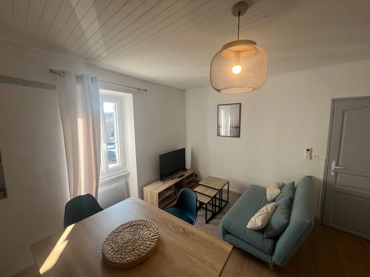 Duplex, 4 P. Clim. Idéal Famille Avec Enfants. - Café de la Paix