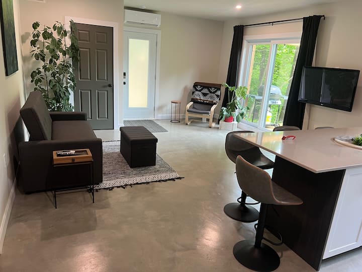 Dream Apartment Comforting & Relaxing - Gatineau
