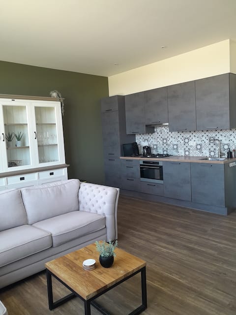 Successful Airbnb property: Guest house in the countryside in Tholen