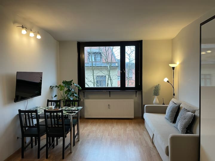 Apartment In Ljubljana Center - Liubliana