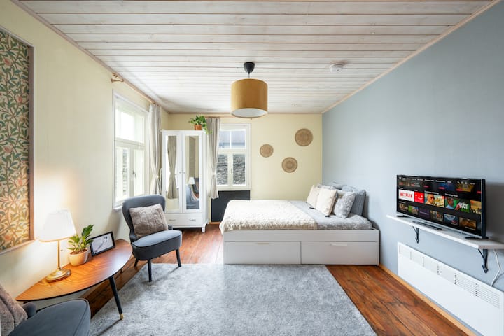 Garden Studios Next To Telliskivi & Old Town - Tallin