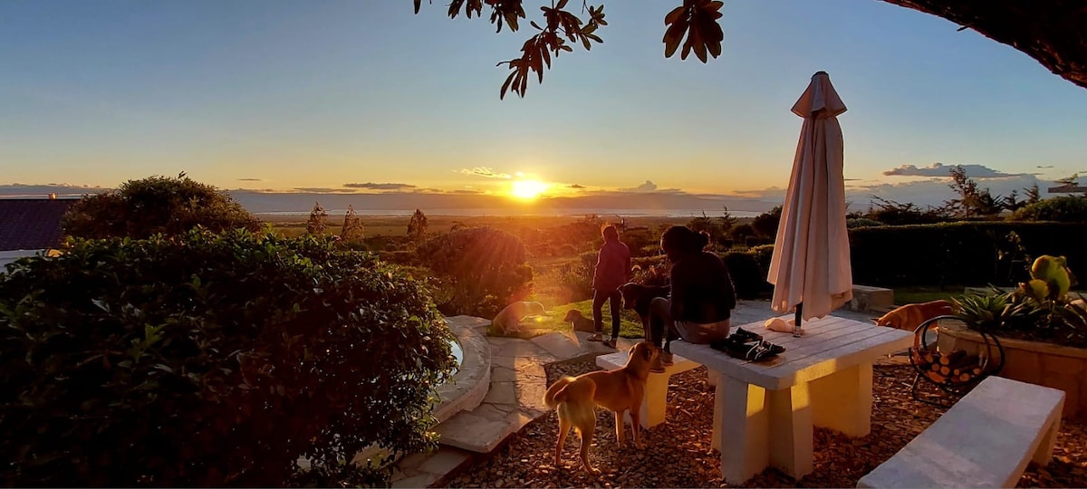 An outdoor patio area captures a sunset, with soft golden light illuminating the surroundings. A picnic table is visible, accompanied by a sunshade and greenery. Silhouetted figures enjoy the view, with a dog standing nearby, enhancing the scenic atmosphere.
