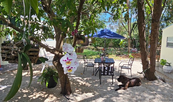 Casa El Caminito - Miami