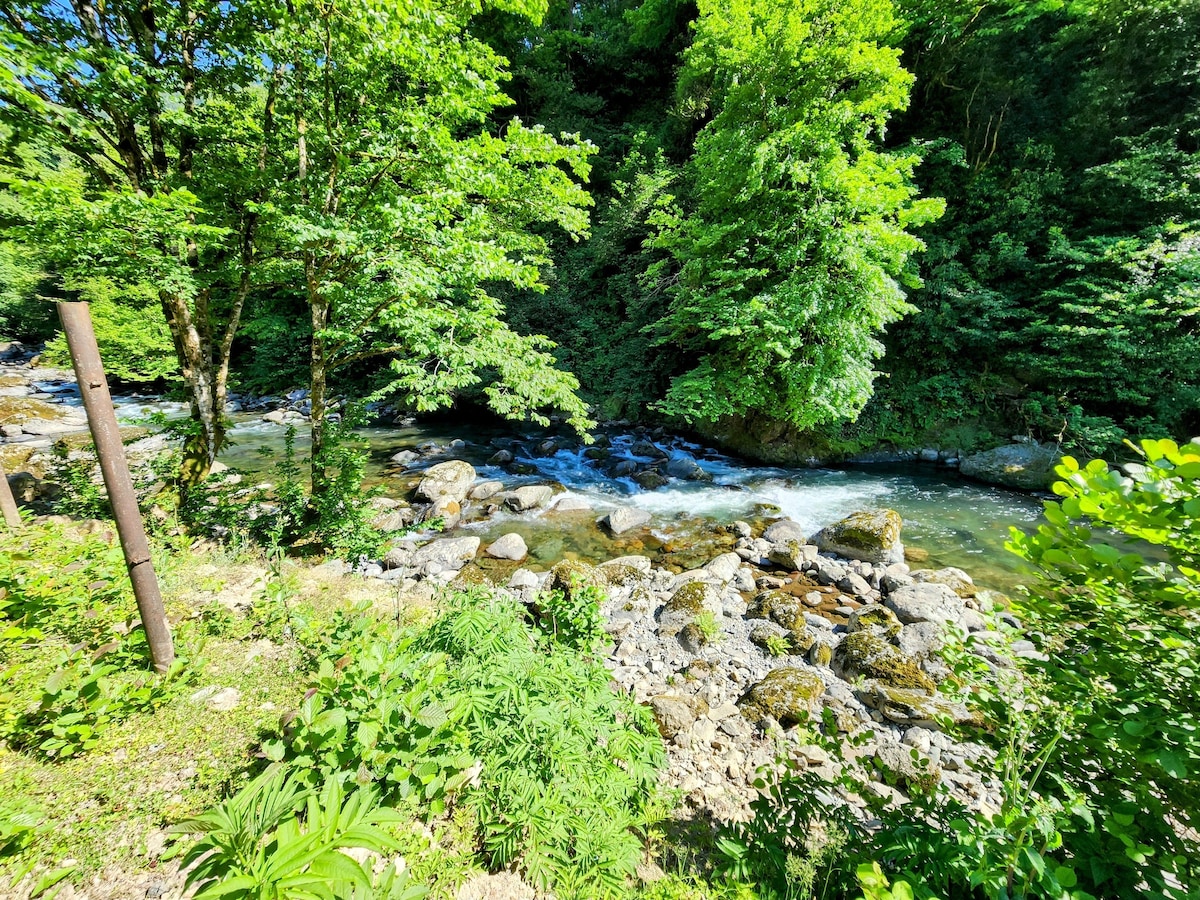 A clear mountain river flows gently through a lush green landscape. Tall trees frame the waterway, with sunlight filtering through the leaves. Smooth stones are visible along the riverbank, adding to the natural beauty of the serene setting.