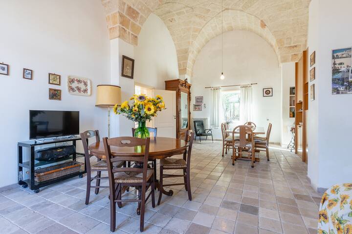 Casale Eucalipto, un uliveto a Monopoli gallery image 5