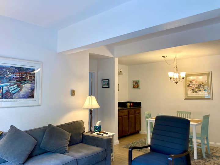 منطقة غرفة الطعام وغرفة المعيشة.  يتم سحب الأريكة إلى أريكة للنوم