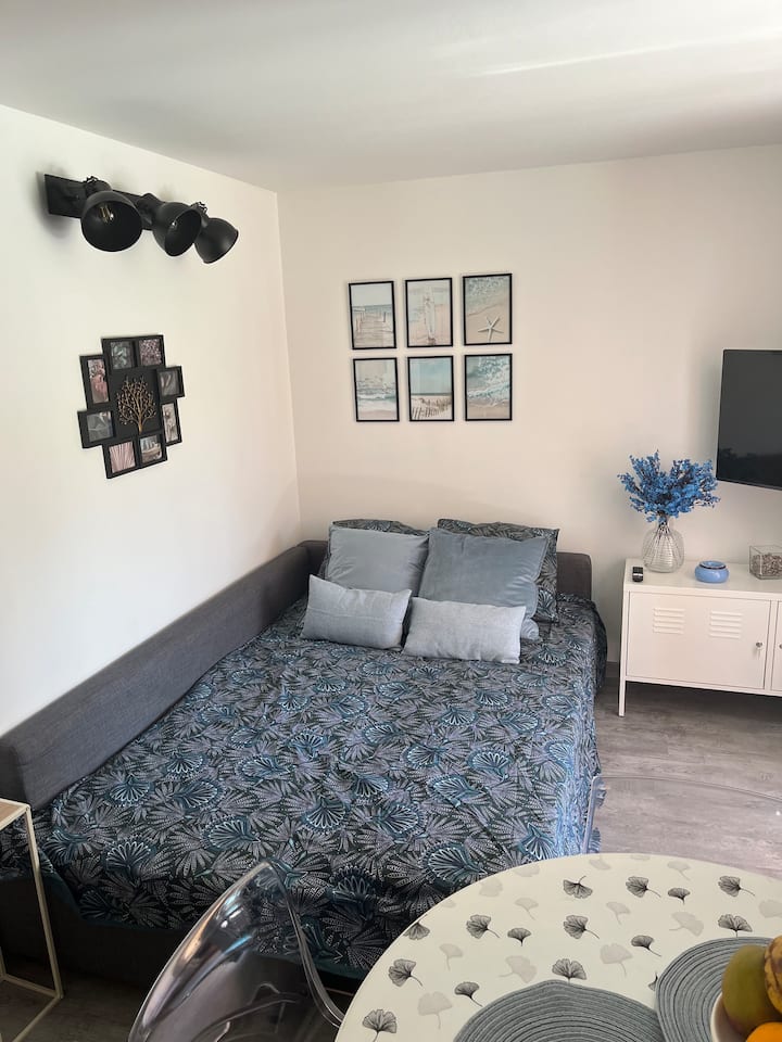 ספה נפתחת בסלון 