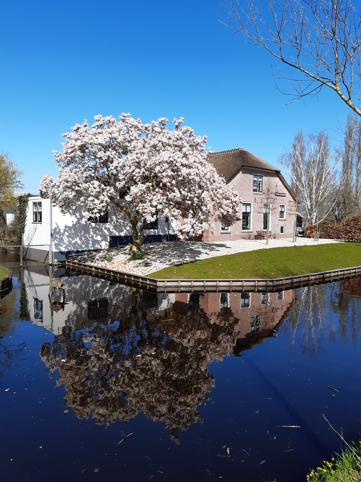 A tranquil scene captures a lovely house with a blooming magnolia tree in front, reflected in the water. The structure features a blend of brick and white walls, surrounded by well-maintained garden areas and pathways leading toward the water's edge.