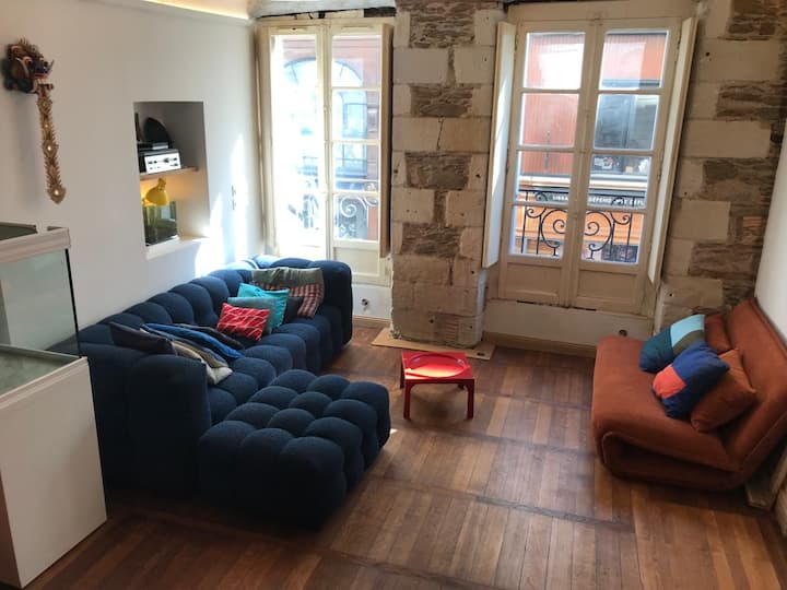 Charmant Appartement Hypercentre - Nantes