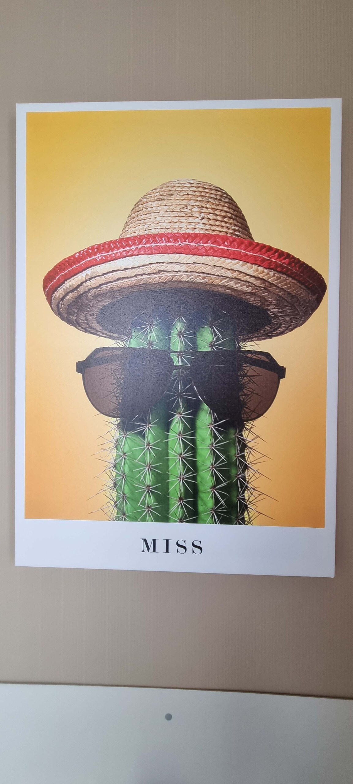 A playful poster features a cactus adorned with a straw hat and sunglasses. The cactus stands against a warm yellow background, and the word 'MISS' is displayed prominently at the bottom of the image.