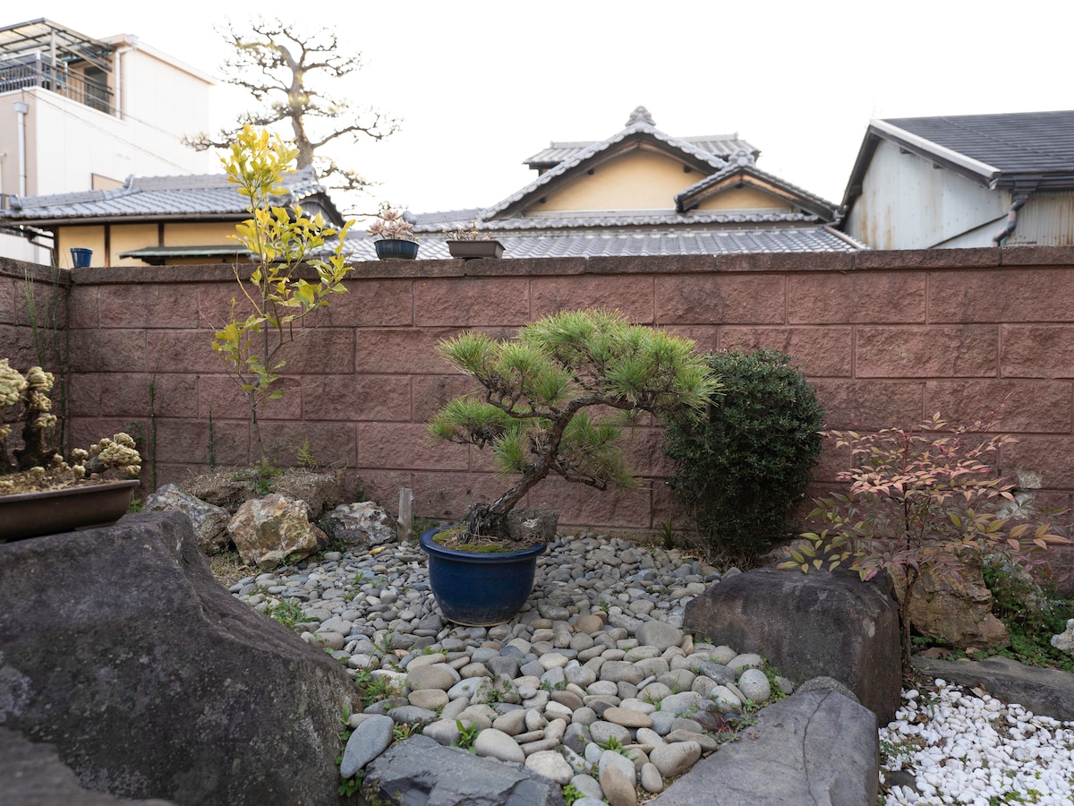 A serene garden space is presented, featuring smooth stones arranged around a small blue pot containing a bonsai tree. Green shrubs and a yellow-leaved plant add a touch of color, with a textured stone wall providing a backdrop to the peaceful scene.