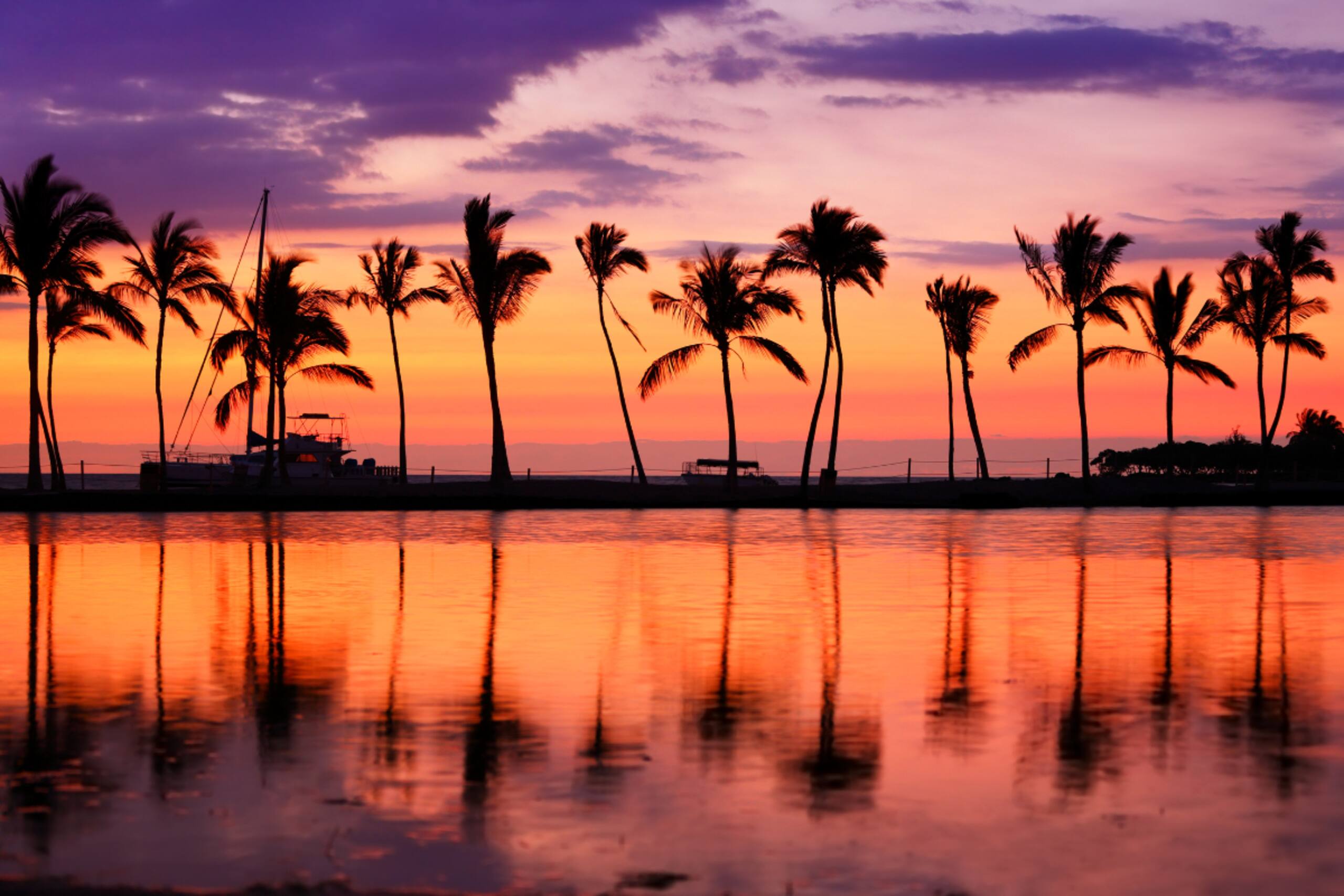 Condo in Honolulu · ★4.56 · 1 bedroom · 2 beds · 1 private bath - Image 49