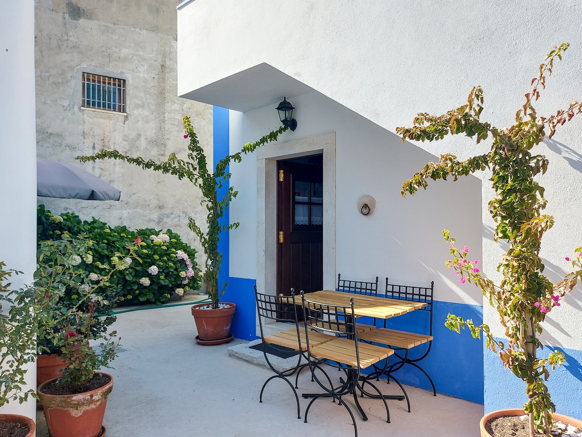 An outdoor seating area features a wooden table surrounded by four black metal chairs. Climbing plants adorn the blue and white walls, while potted flowers add color to the space. A doorway leads to the interior, with a subtle light fixture mounted above.