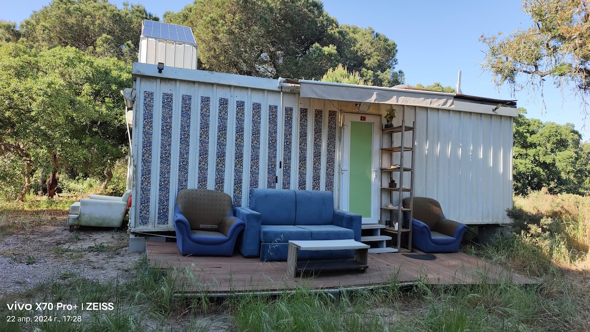 The exterior of a container-style home is visible, featuring a wooden deck with two blue armchairs and a coffee table. A decorative panel adorns the front wall, and shelving is mounted nearby. Surrounding vegetation includes trees and shrubs, enhancing the natural setting.