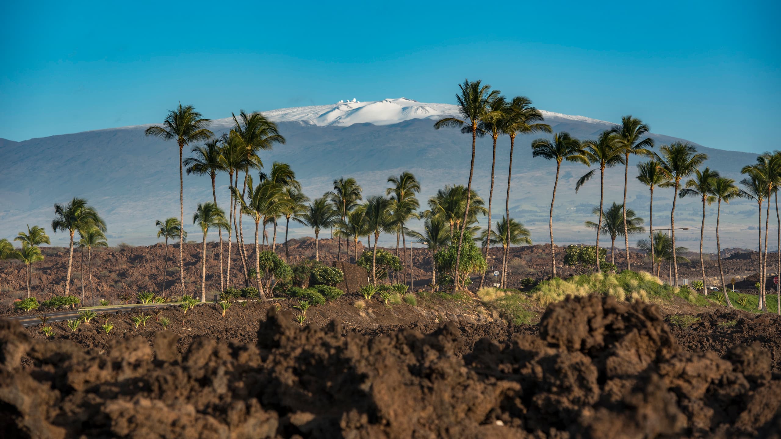 Home in Waimea · ★5.0 · 3 bedrooms · 3 beds · 3 baths - Image 25