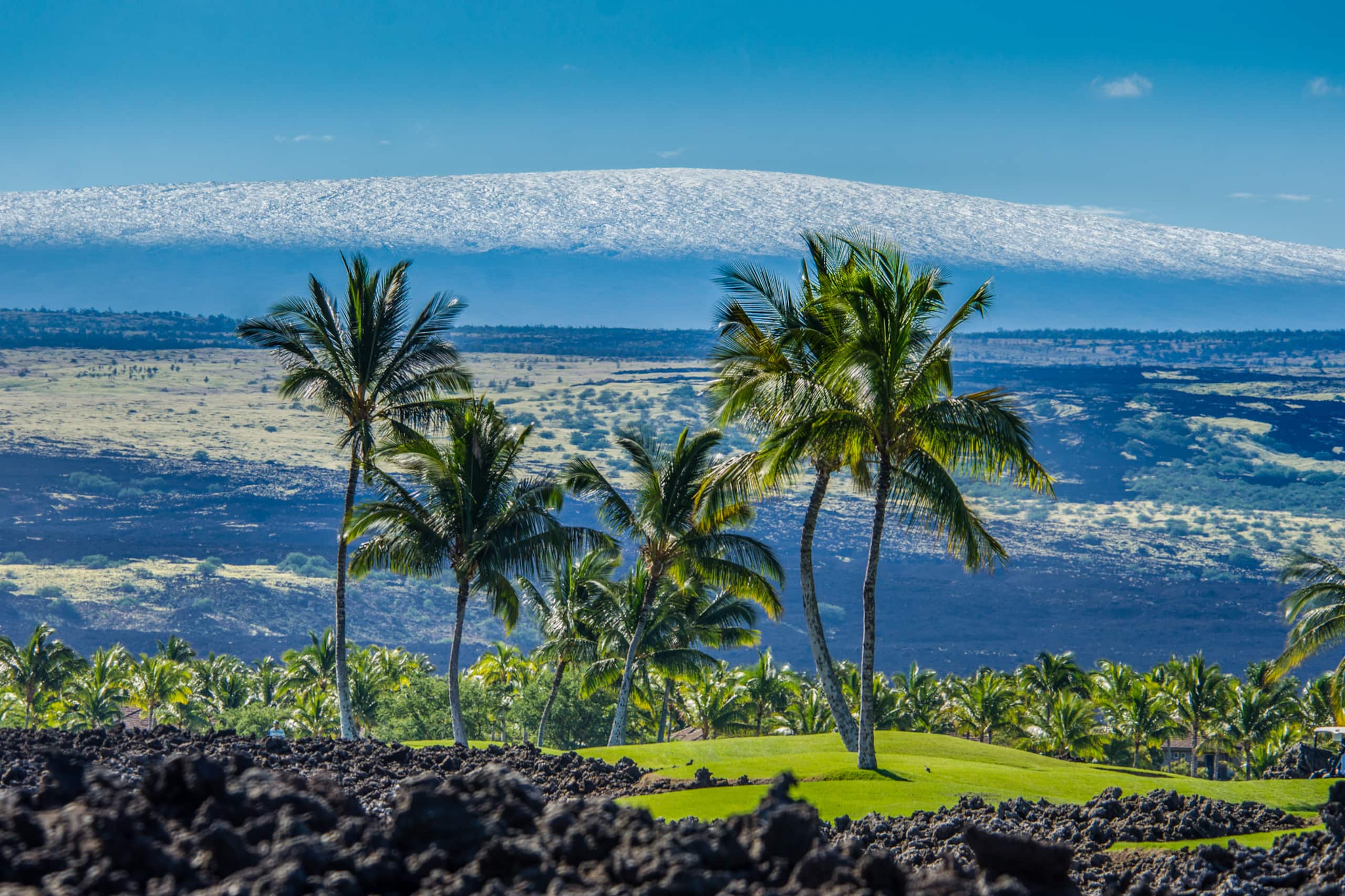 Home in Waimea · ★5.0 · 3 bedrooms · 3 beds · 3 baths - Image 71