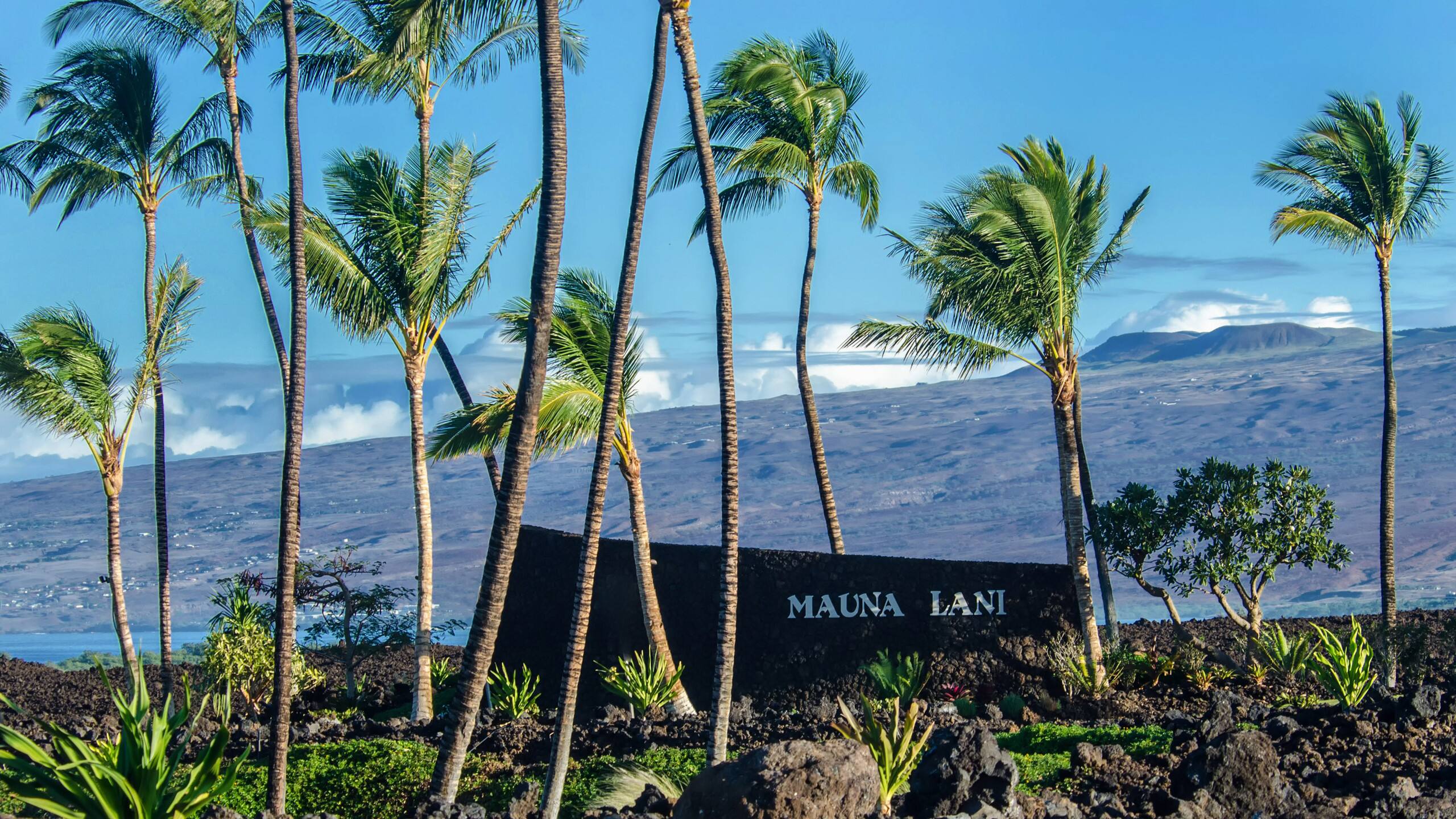 Home in Waimea · ★5.0 · 3 bedrooms · 3 beds · 3 baths - Image 72