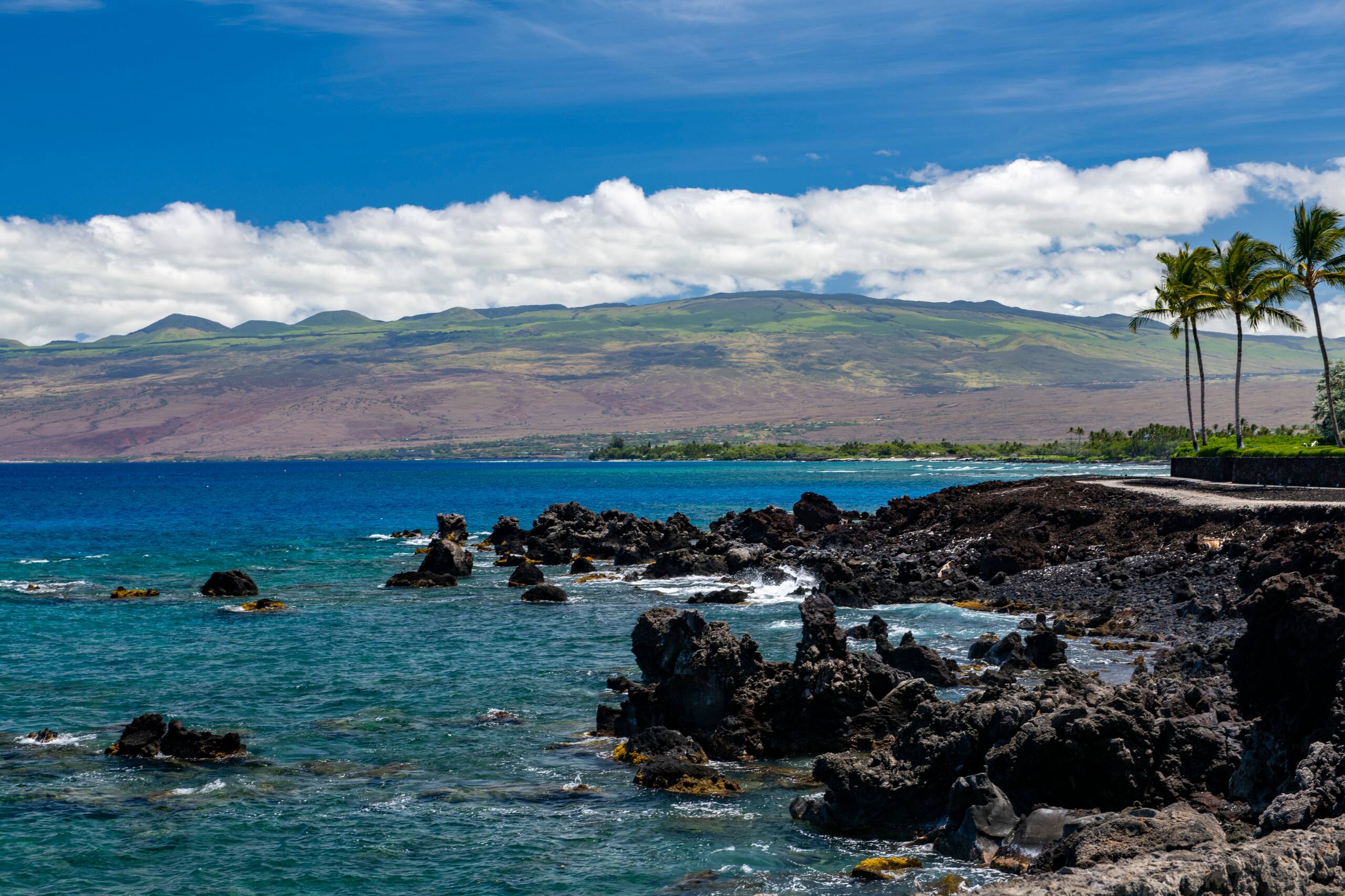 Home in Waimea · ★5.0 · 3 bedrooms · 3 beds · 3 baths - Image 66