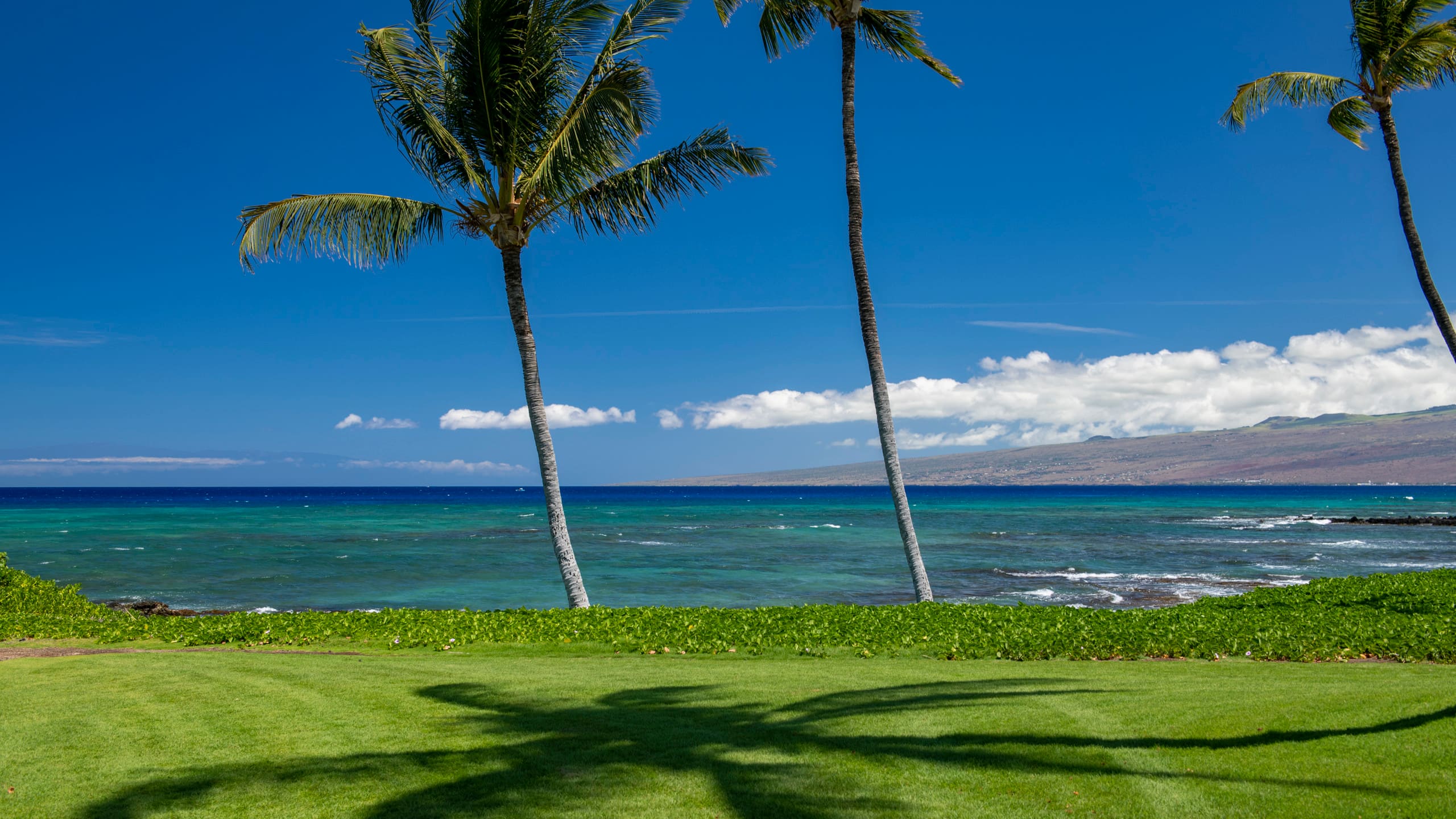 Home in Waimea · ★5.0 · 3 bedrooms · 3 beds · 3 baths - Image 67