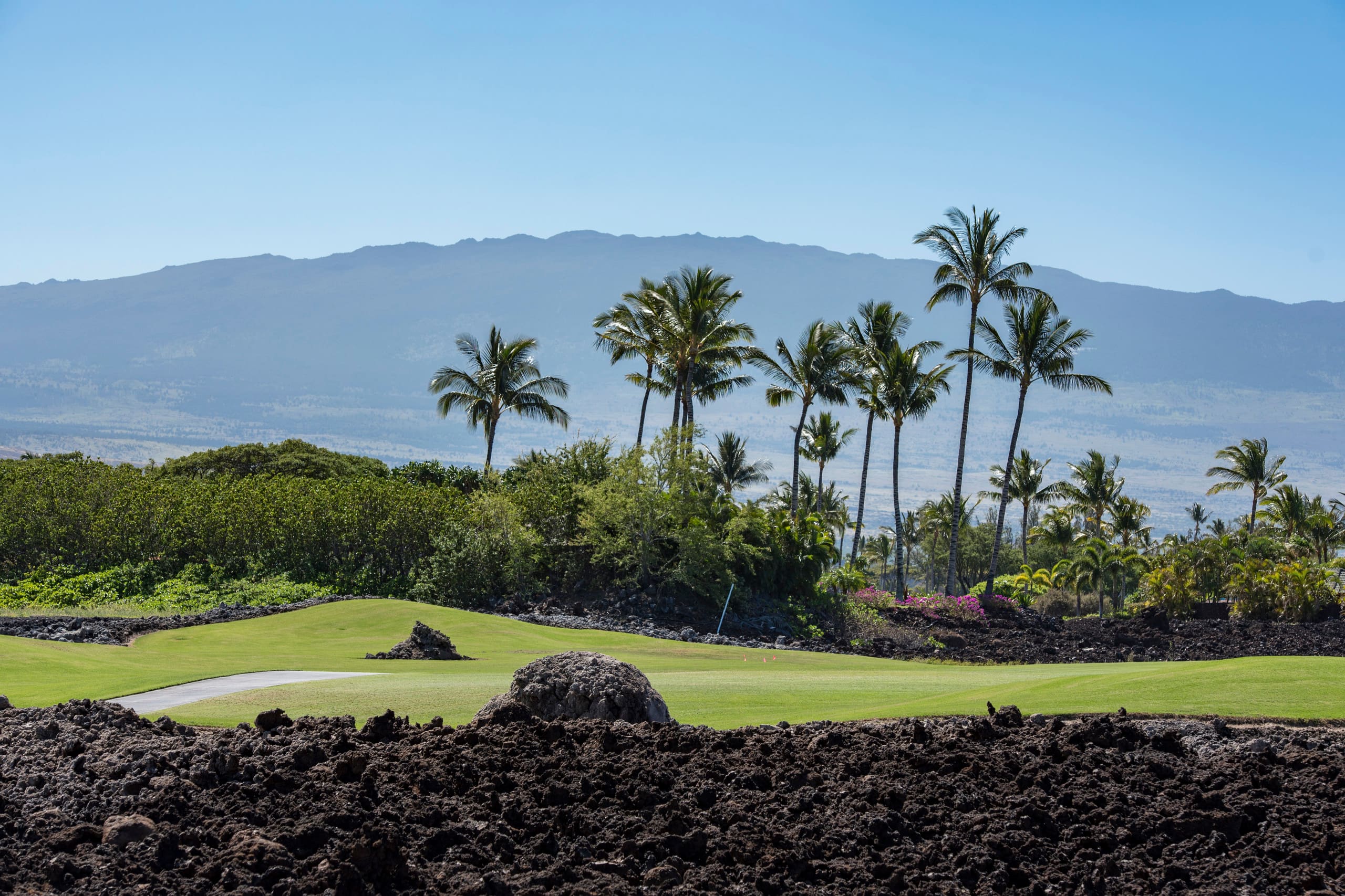 Home in Waimea · ★5.0 · 3 bedrooms · 3 beds · 3 baths - Image 76