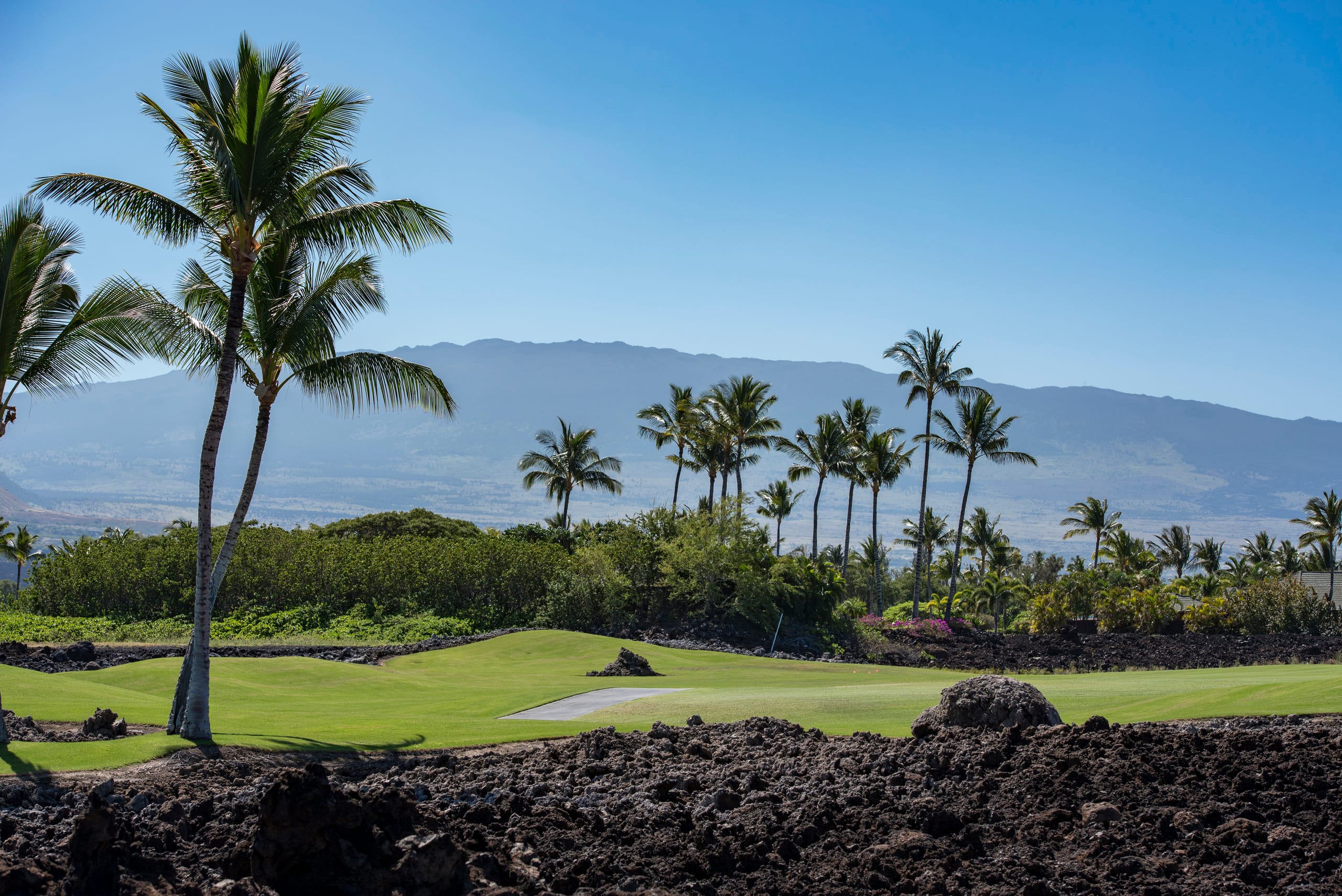 Home in Waimea · ★5.0 · 3 bedrooms · 3 beds · 3 baths - Image 75