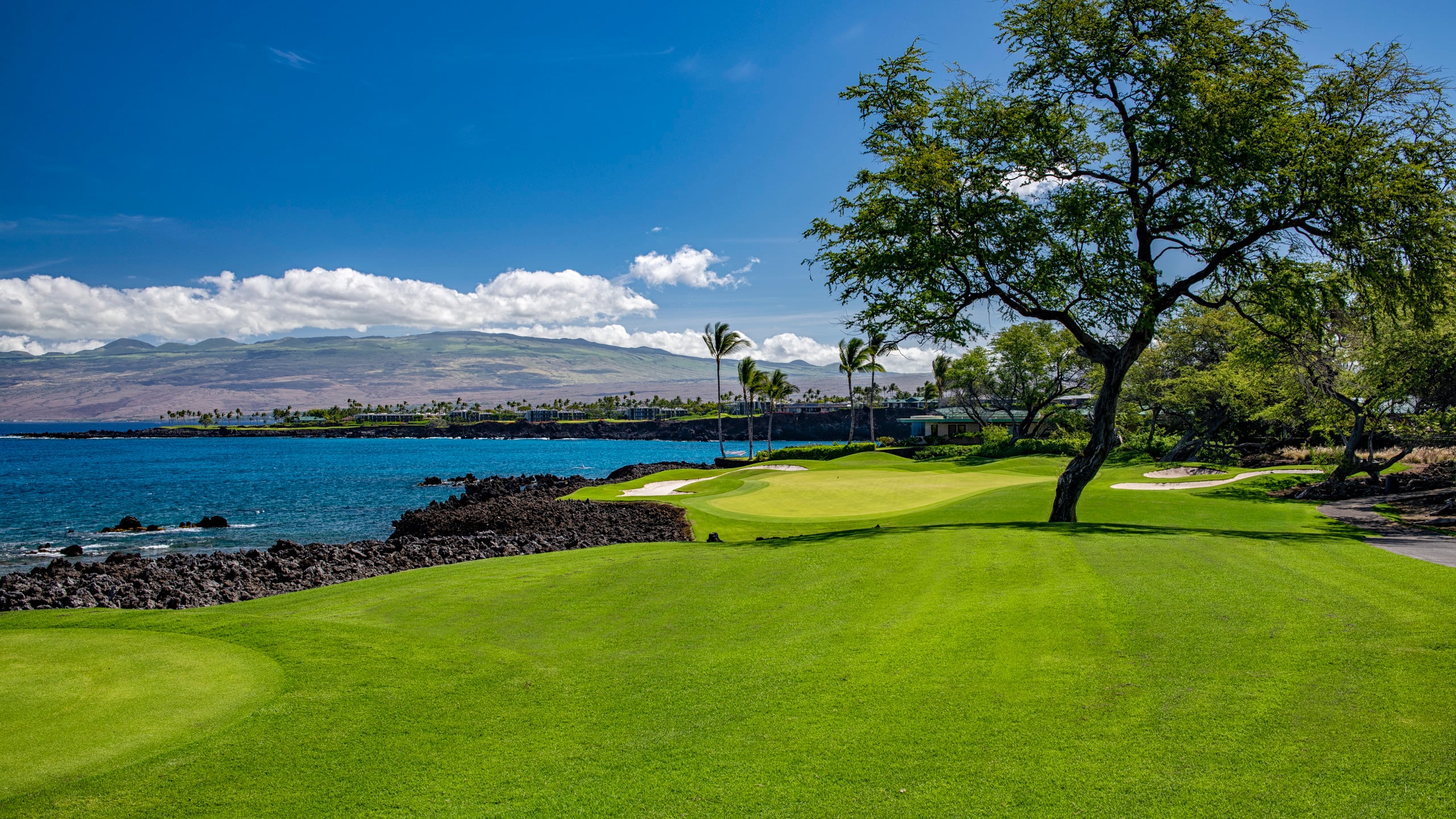 Home in Waimea · ★5.0 · 3 bedrooms · 3 beds · 3 baths - Image 65