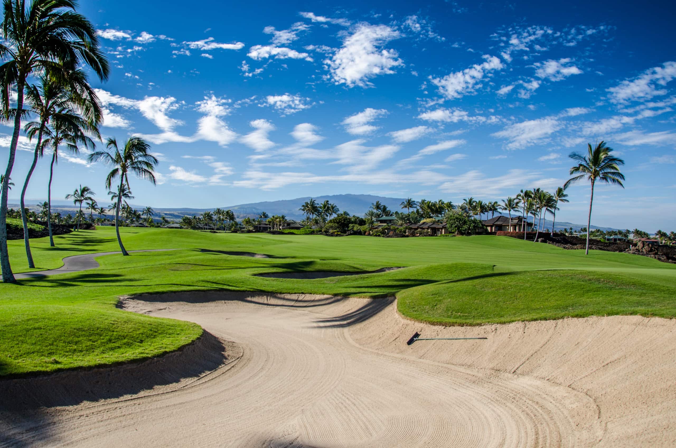 Home in Waimea · ★5.0 · 3 bedrooms · 3 beds · 3 baths - Image 69