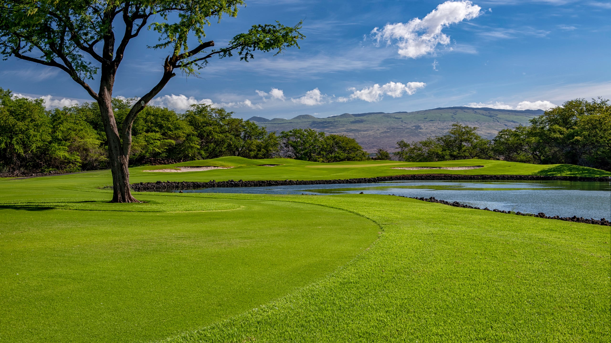 Home in Waimea · ★5.0 · 3 bedrooms · 3 beds · 3 baths - Image 64