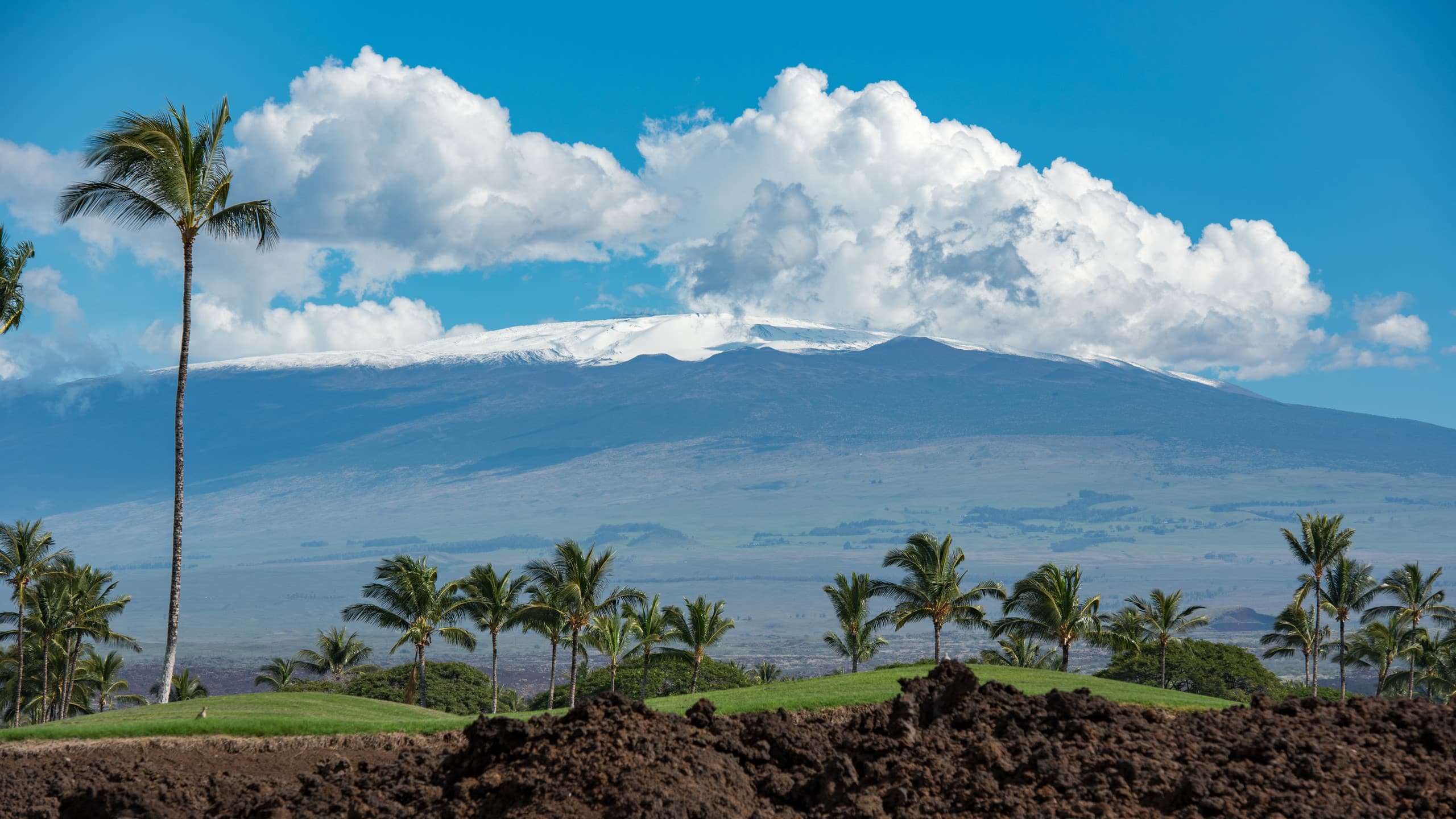 Home in Waimea · ★5.0 · 3 bedrooms · 3 beds · 3 baths - Image 32