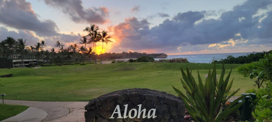 Garden Paradise w/5 min. walk to beach