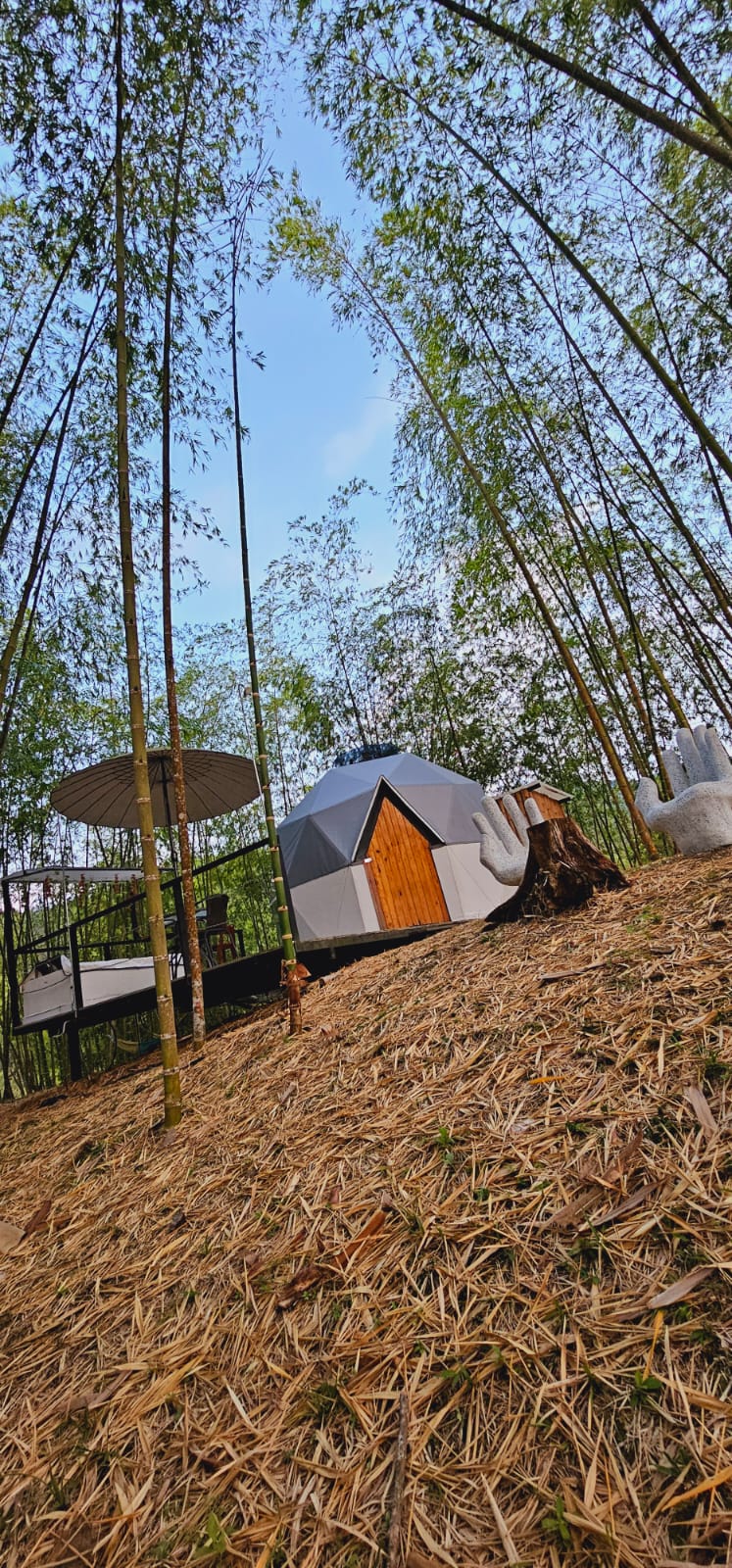 A unique geodesic dome is nestled among towering bamboo stalks, emphasizing the natural setting. Nearby, a circular deck offers additional outdoor space, complemented by a hand-shaped sculpture, blending creativity with the surroundings.